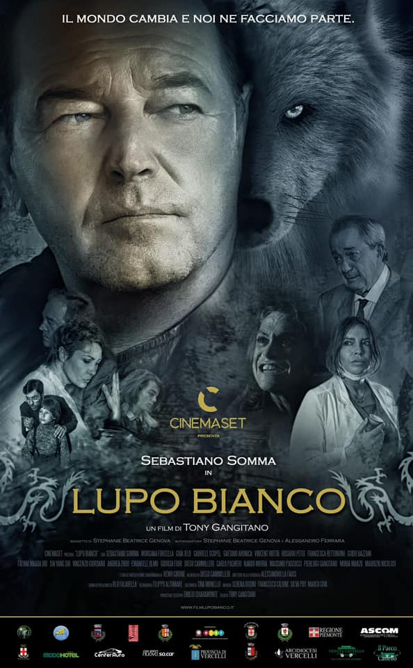 Lupo Bianco